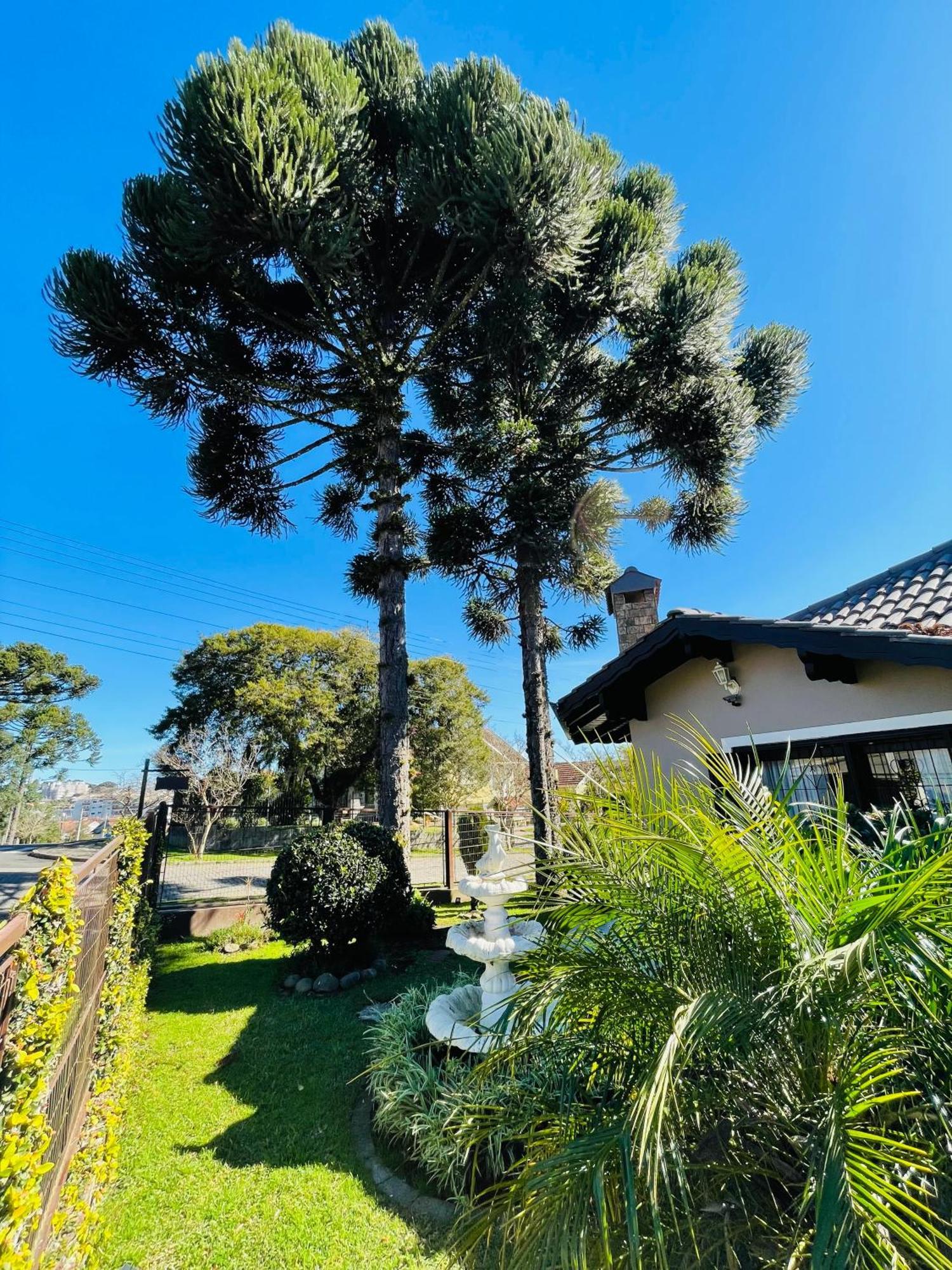 Отель Residencial Pine House Канела Экстерьер фото